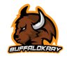 BuffaloKaay ๐ฆฌ 3๏ธโฃ's profile picture