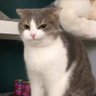 Lalisa_0327🐱🐻's profile picture