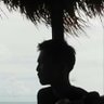 APe 的头像