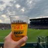 Profilbild von tigers@応援し隊 🐯🎫