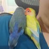 Scott profil fotoğrafı