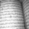 Mohammed's profile picture
