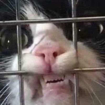 hiew30T's profile picture