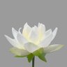 Фото профиля Kamal Chand Singh