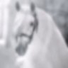 Profilbild von meme