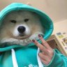 きだに いろは 的头像