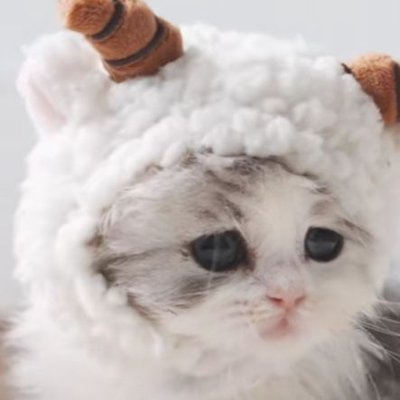 yanhuay94539663's profile picture