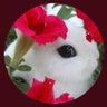 Katch22 🍊's profile picture