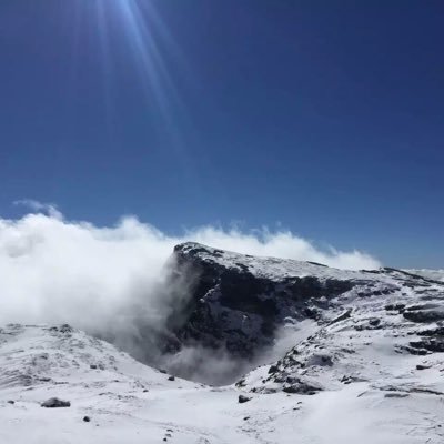不再犹豫's profile picture