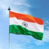 Shankar Narayan's profile picture
