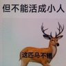 Profilbild von 牛虻