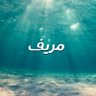 مريف 的头像