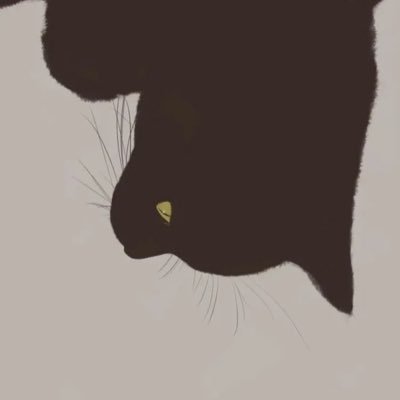 Lexieee520520's profile picture