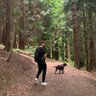 matty nolan profil fotoğrafı