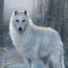 Фото профиля Ghost with the Most