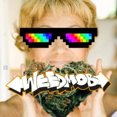 brokkolisseur's profile picture