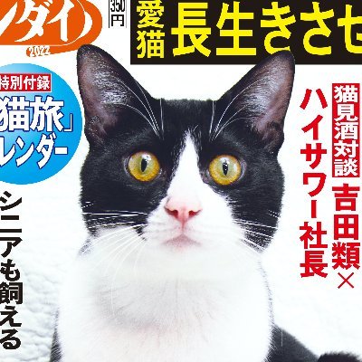 日刊ニャンダイ's profile picture