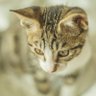 Profilbild von Gary_H