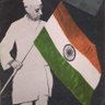 Mona Ambegaonkar's profile picture
