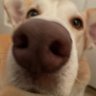 Fllyz profil fotoğrafı