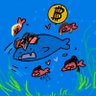 bitcoinearly's profile picture