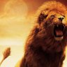 #FellowKenyan.'s profile picture