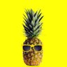 🍍 profil fotoğrafı