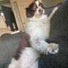 Ryan Eder's profile picture
