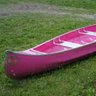 ThorThePinkCanoeist 的头像