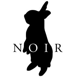 NOIR | NOIR RACING LAB.'s profile picture