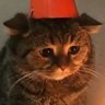 wave's profile picture