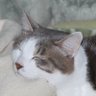 R☆AKI profil fotoğrafı