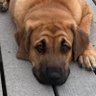 CrabbyRN's profile picture