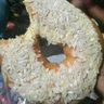 Downut's profile picture