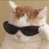 ねっこねこ 的头像