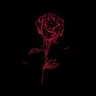 sunrise's profile picture