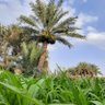 حمدان العيسائي profil fotoğrafı