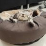 Yoyfun's profile picture