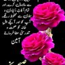 Shakeel Ahmad 的头像