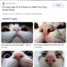 Kaelthearsenalmagus's profile picture