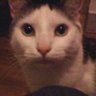 Profilbild von Marc Olschok
