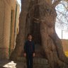 AhmadSadjadpour 🇮🇷 的头像