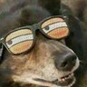 Profilbild von Jaymes