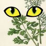 Cøriånder's profile picture