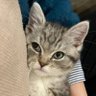 Profilbild von heyvince