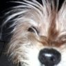 Nora's profile picture