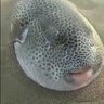 Wee profil fotoğrafı