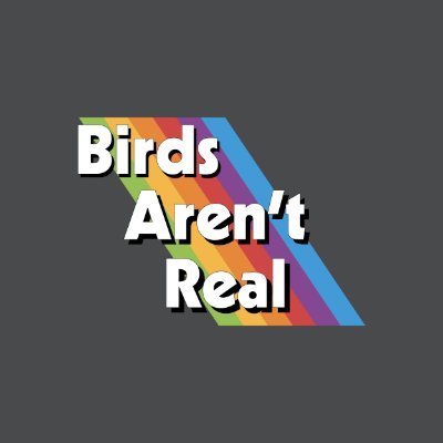 birdsarentreal's profile picture