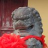 RRT's profile picture