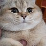 Profilbild von ããã ããã